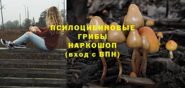 меф Алексин