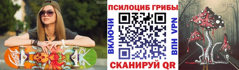где продают наркотики Нижний Новгород Псилоцибиновые грибы MAGIC MUSHROOMS