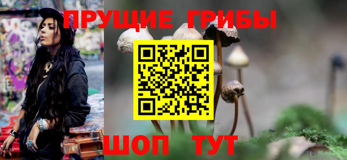 Нижний Новгород  Галлюциногенные грибы Psilocybine cubensis  Вход с VPN 